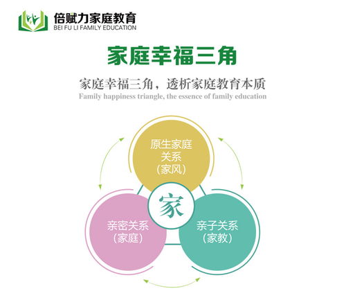 山東倍賦力教育 青少年一對一在線輔導(dǎo)咨詢